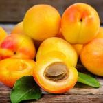 Công dụng của Quả mơ (Apricot) – Giàu vitamin A, hỗ trợ miễn dịch và thị lực