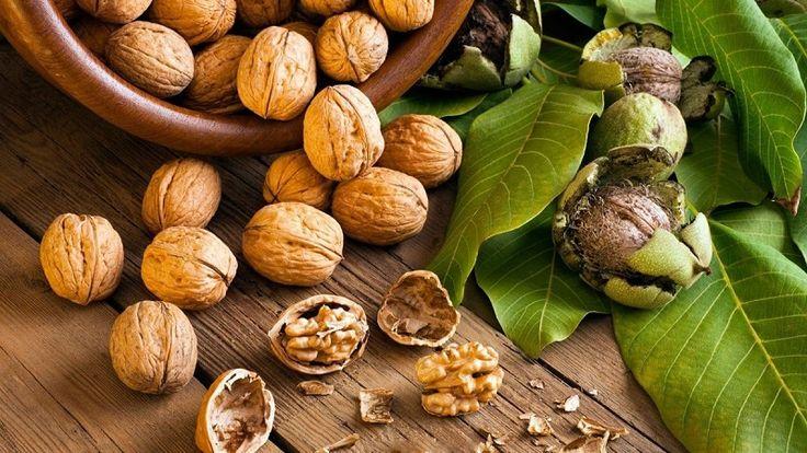 Hạt Óc Chó – Kho Báu Thiên Nhiên Cho Hệ Miễn Dịch Mạnh Mẽ và Não Bộ Minh Mẫn!