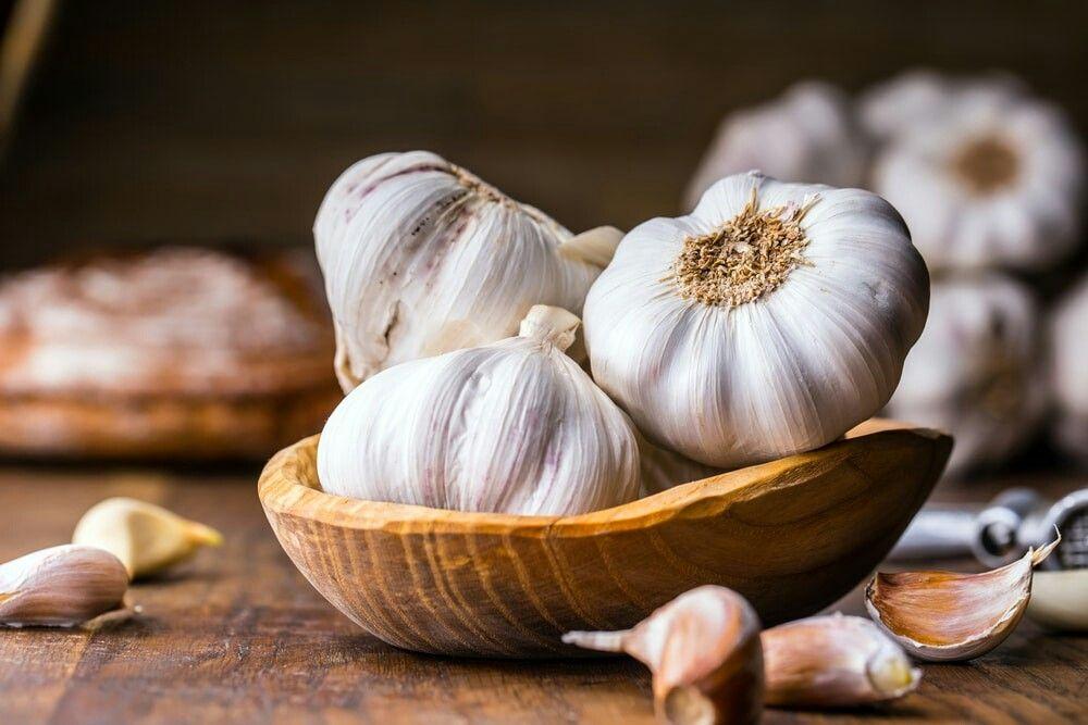 Công dụng tuyệt vời của Tỏi (Allium sativum): Bí quyết vàng cho sức khỏe